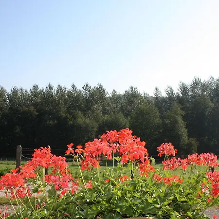Ferienhaus Maison De Charme Pres De Neufchateau Avec Jardin, Terrasse Et Jeux Exterieurs - Fr-1-589-163 Saint-Ouen-les-Parey