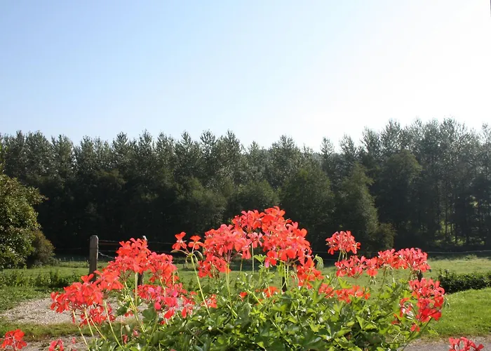 Prázdninový dům Maison De Charme Pres De Neufchateau Avec Jardin, Terrasse Et Jeux Exterieurs - Fr-1-589-163 Saint-Ouen-les-Parey